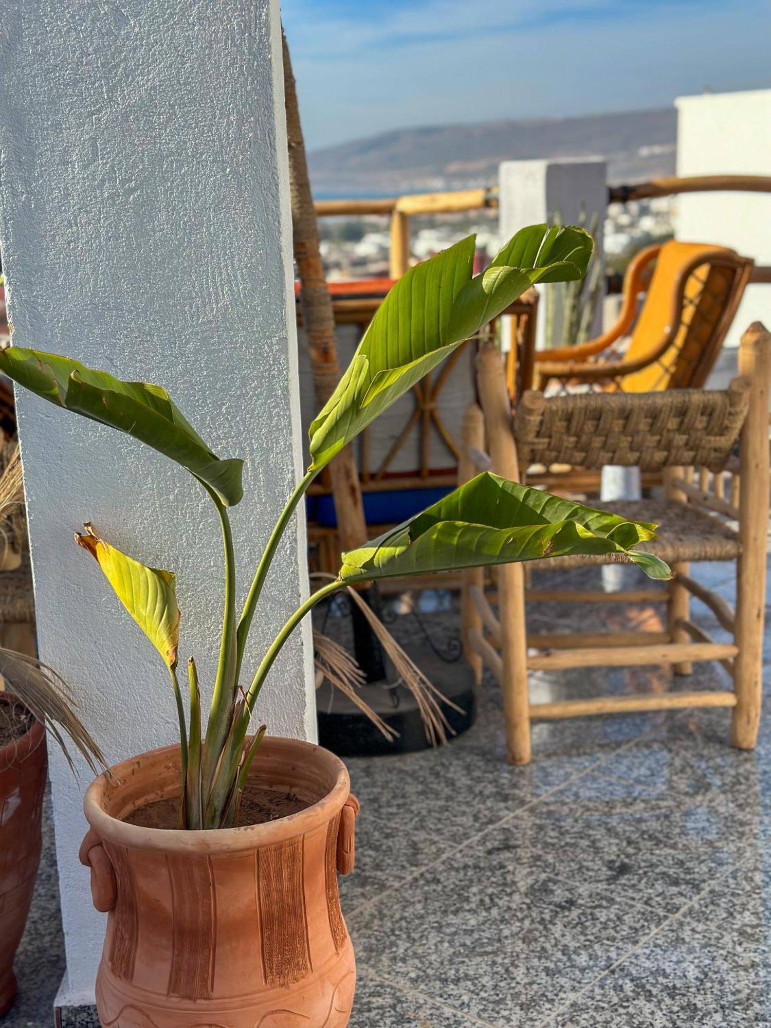 Paddle Out Morocco Hostel Tamraght Ngoại thất bức ảnh